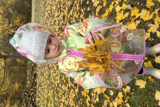 PODZIM KOLEM NÁS PODZIM KOLEM NÁS 1