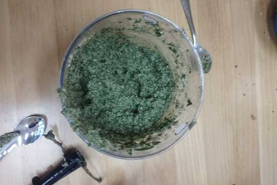 Bazalkové pesto a sušení bylinek 1