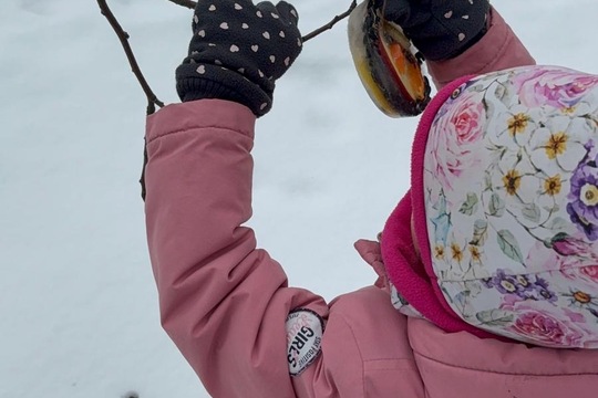 Ledová lednová krmítka  1