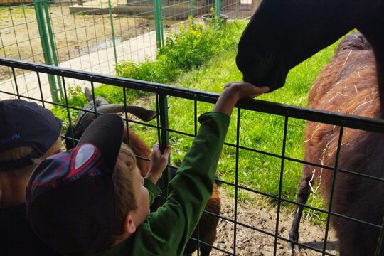 Výlet na farmu 1