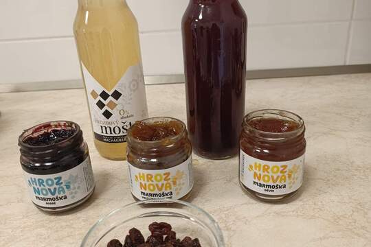 Ochutnávka výrobků z vinné révy 1