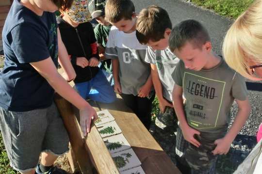 Regionální výstava ovoce,zeleniny a květin 2018 1