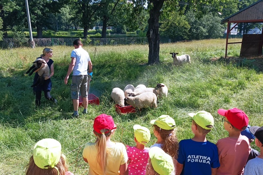 Vycházka na statek 1