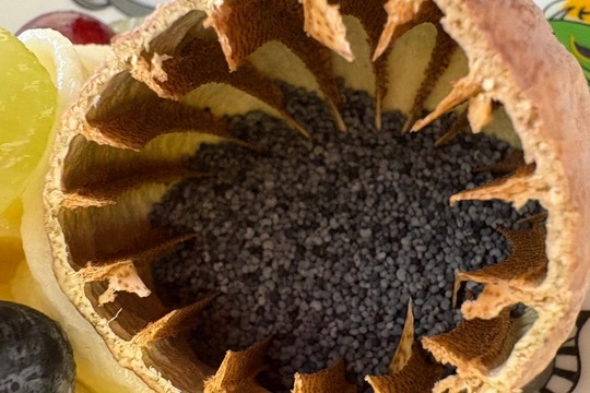 I jednoduché jídlo může učit  1