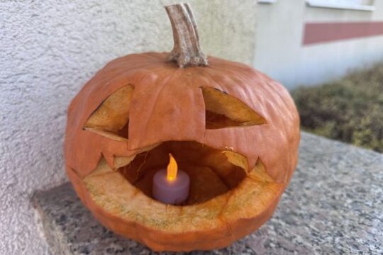 Koťátka dlabou dýni 1