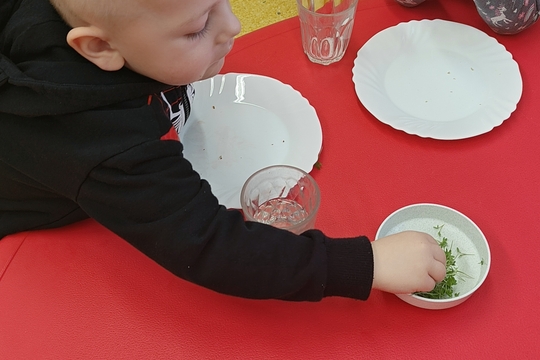 Bylinková radost v naší školce 1