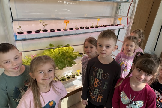 Motýlci z MŠ Kollárova - Sklizeň salátu 1