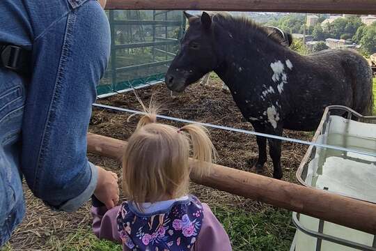 Modráček na Farmě Skalka Modráček na Farmě Skalka 1