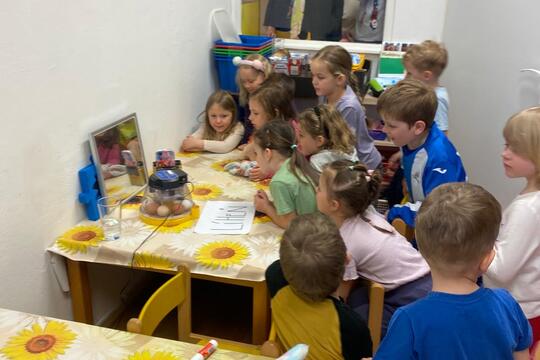 Jarní zázrak: líhnutí kuřátek v naší školce 1