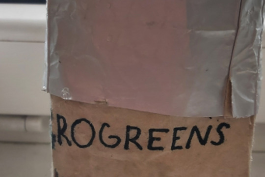 Microgreens 1