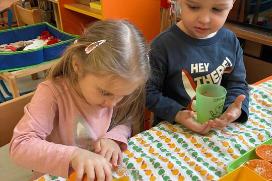 Pomerančový fresh 1