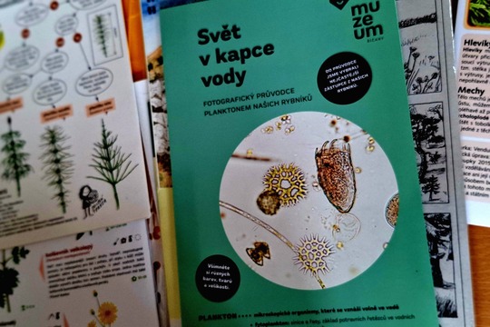 Živá voda  1
