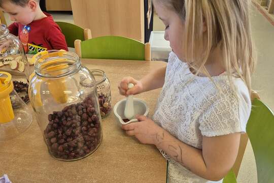 Připravujeme si bylinkový čaj  1