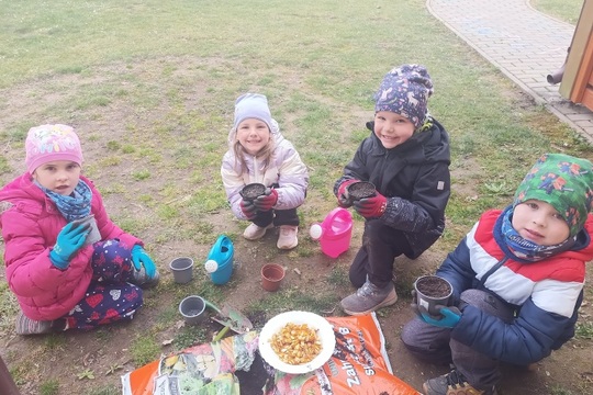 JARNÍ SÁZENÍ DÝNÍ A KVĚTIN  V BERUŠKÁCH 1