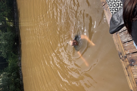 Mezinárodní den pikniku s přáteli  1