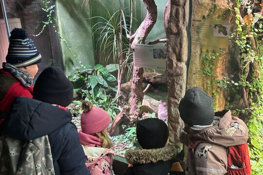 Návštěva Zoologické zahrady 1