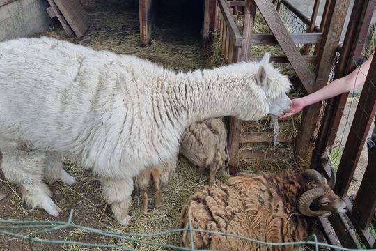 Ježečci z MŠ Soběchleby - Návštěva Bioparku v Teplicích 1