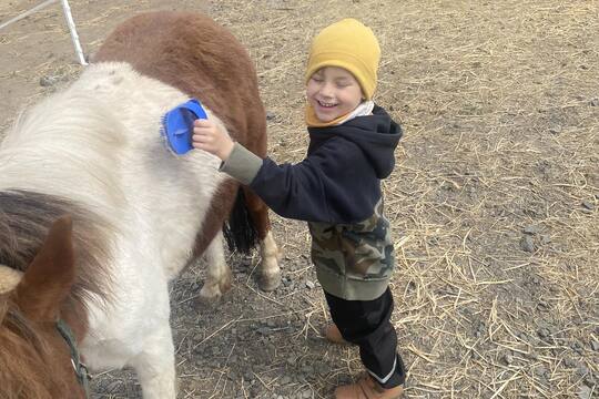 Návštěva na farmě 1