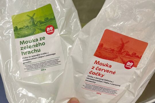 Když zdraví chutná: salát s pečenou rybou a domácí luštěninovou houstičkou Když zdraví chutná: salát s pečenou rybou a domácí luštěninovou houstičkou 1