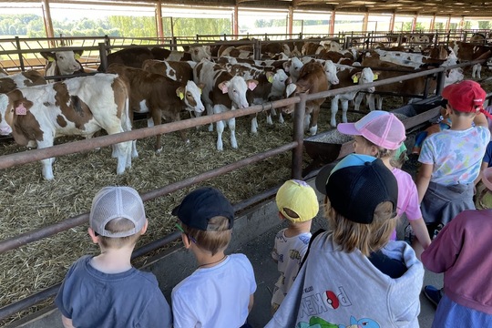 Školka v akci: Jak se rodí láska k přírodě a zemědělství Školka v akci: Jak se rodí láska k přírodě a zemědělství 1