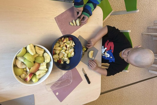 Odšťavňování jablíček  1