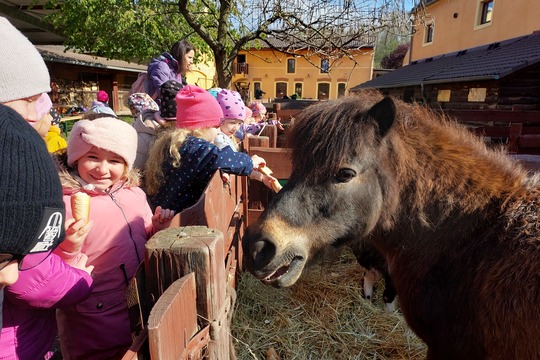 Výlet na statek " Selský dvůr " Braňany  1