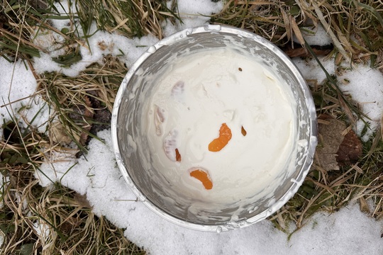 Výroba domácí zmrzliny  1