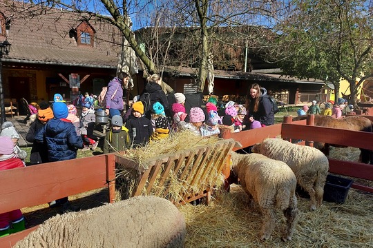 Výlet na statek " Selský dvůr " Braňany  1