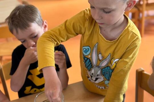 Sedmikrásková limonáda 1