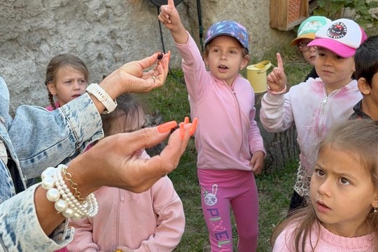 Strom přátelství  1