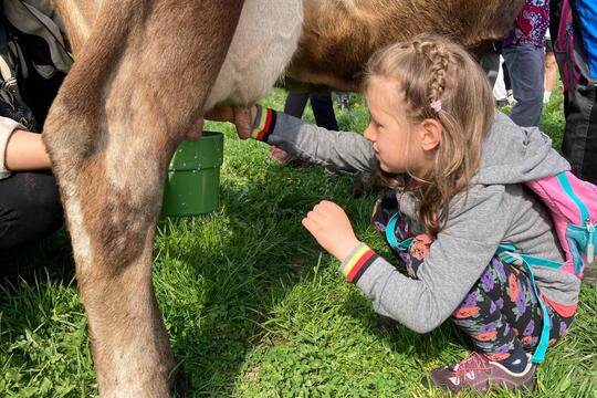 Farma Slapsko a Kveteto - za podpory Nadace ČEZ 1