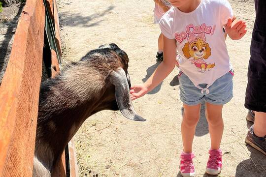 FARMAPARK U TOMA 1