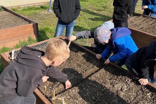 Vyvýšené záhony  1