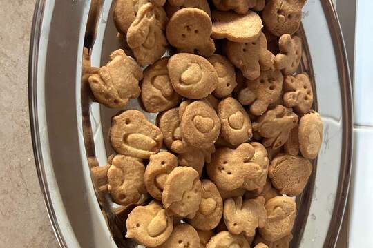 Velikonoční pečení sušenek 1