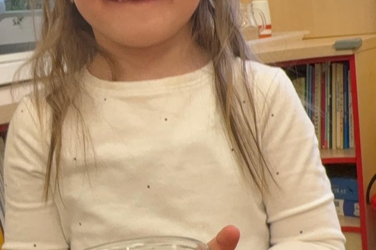 Vlastní rozhodnutí - vlastní salát  1