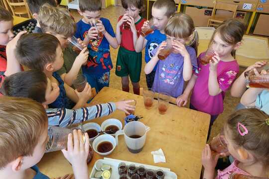 Pampeliškový med - Sluníčka 1