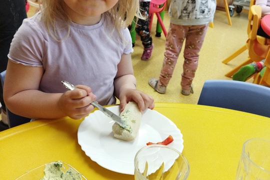 Jaro u nás na zahrádce Jaro u nás na zahrádce 1