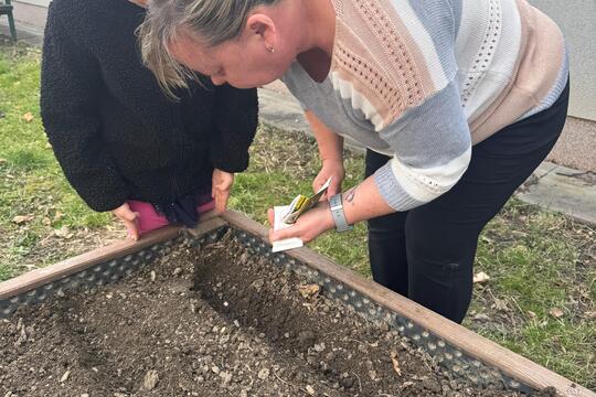 Probouzení záhonků  1