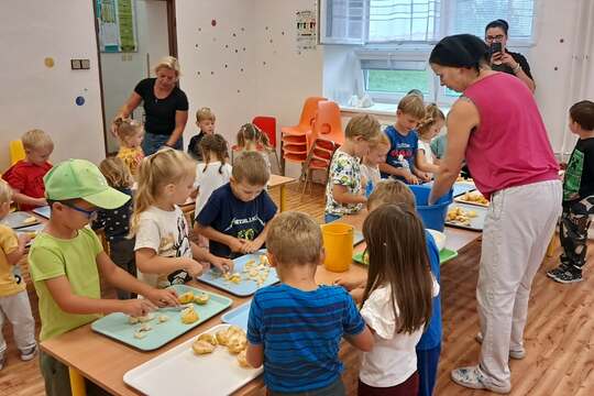 Jak se naše hrušky proměnily v povidla Jak se naše hrušky proměnily v povidla 1