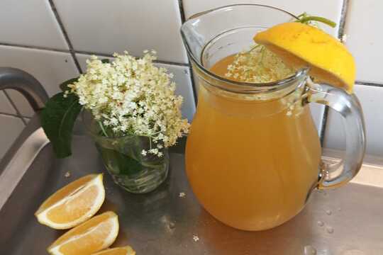 Bezinková šťáva 1