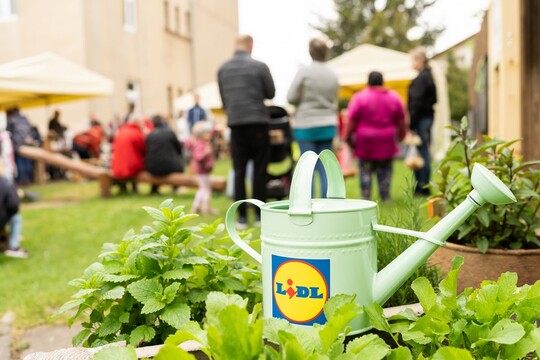 Díky podpoře společnosti Lidl se v Dětenicích otevřela nová jedlá školní zahrada 1