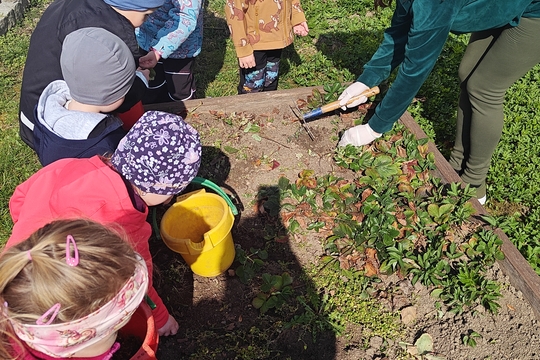 Bylinková radost v naší školce 1