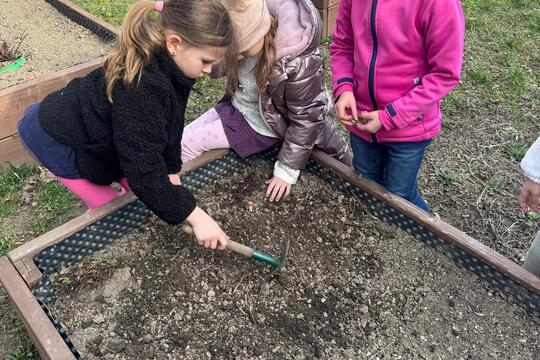 Probouzení záhonků  1