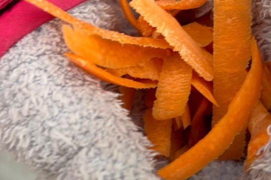 Ptáci v zimě Ptáci v zimě 1