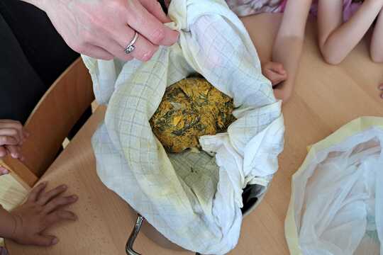 Pampeliškový sirup v mateřské škole 1