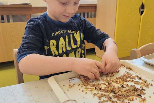 Výroba lojových koulí pro ptáčky 1