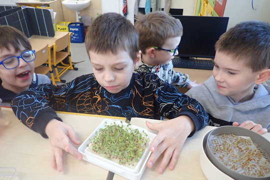 Pěstujeme microgreens 1