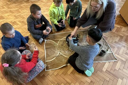 Přesazování sazeniček 1