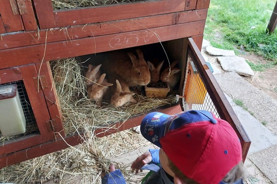 Výlet do Licibořic 2 Výlet do Licibořic 2 1