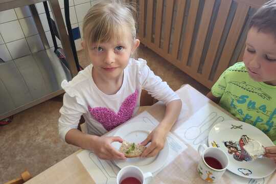 Co roste na Zemi - Sluníčka 1